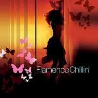 pelicula va-flamenco chillin-2008